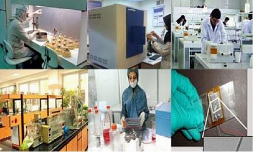 شرکت‌های دانش‌بنیان تسهیلات اشتغال دریافت می‌کنند