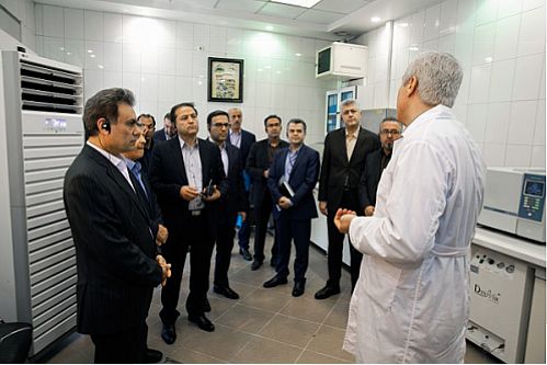 تاکید بر تقویت همکاری های بانک ملت و گروه میهن