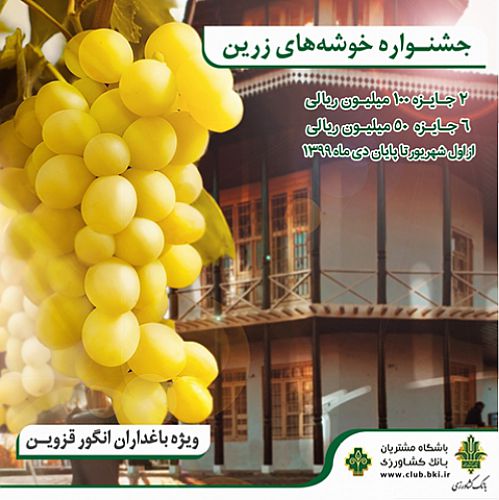 جشنواره خوشه های زرین ویژه باغداران انگور استان قزوین