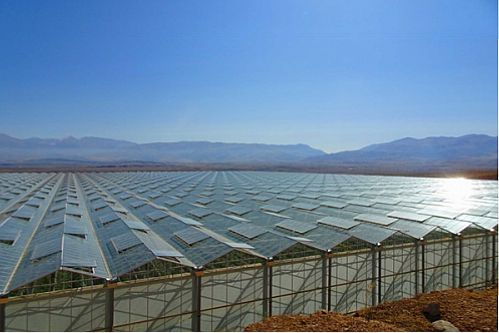 احداث بزرگ ترین پروژه کشت گلخانه ای شیشه ای مدرن خاورمیانه با حمایت 5000 میلیاردی بانک کشاورزی در منطقه آزاد تجاری ارس