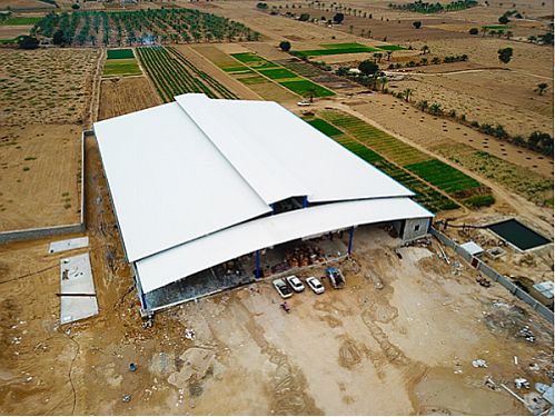 حمایت 59 میلیاردی بانک کشاورزی از راه اندازی طرح بزرگ سورتینگ و سردخانه خرما در استان بوشهر