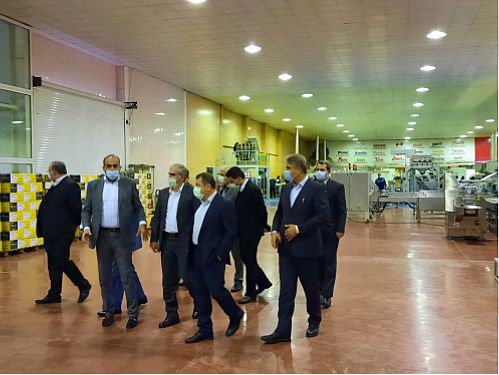 بازدید مدیران ارشد بانک ملی ایران از یک طرح صنعتی