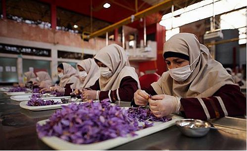  صاحبان مشاغل خانگی خود را بیمه کنند
