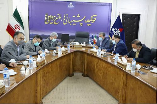بازدید از شرکت های نفت و گاز و پتروشیمی عسلویه