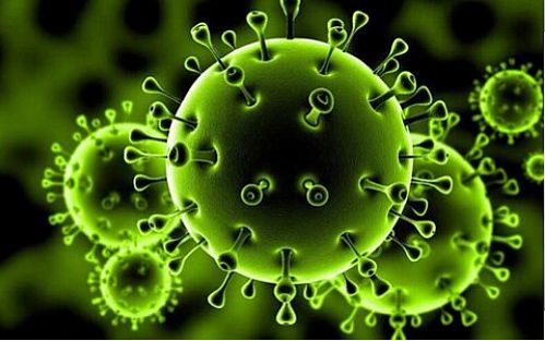  اومیکرون و چالش سفرها در تعطیلات سال نو میلادی