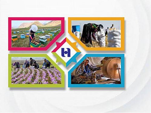 رشد ١٤٣ درصدی حمایت بانک صادرات ایران از کسب و کارهای روستایی