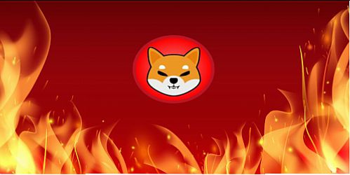  شیبا اینو توکن سوزی کرد