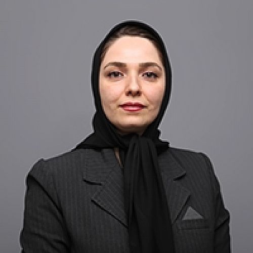  جایگاه ویژه تامین سرمایه تمدن در اکوسیستم بازار سرمایه