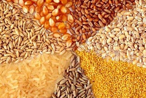  پرداخت تسهیلات ۱۷۵۰۰ میلیارد ریالی بانک کشاورزی برای تأمین بذور گواهی شده