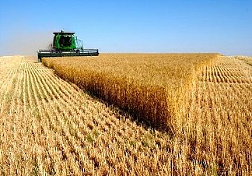  واریز بیش از 108هزار میلیارد ریال وجوه خرید تضمینی گندم توسط بانک کشاورزی