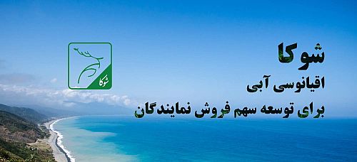 «شوکا» اقیانوسی آبی برای توسعه سهم فروش نمایندگان
